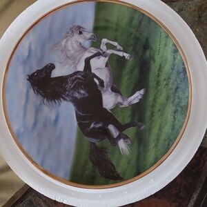 Ivory and Ebony horse collection plates, limited edition, Lesley Harriso…